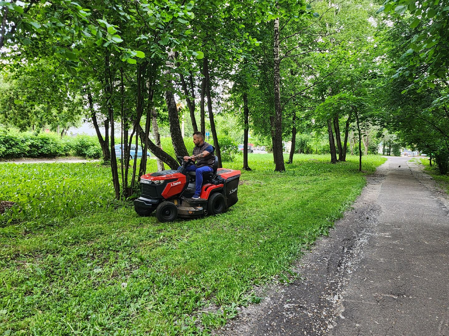 фрязино, покос травы, новая техника, мбу городское хозяйство, газонокосилка,