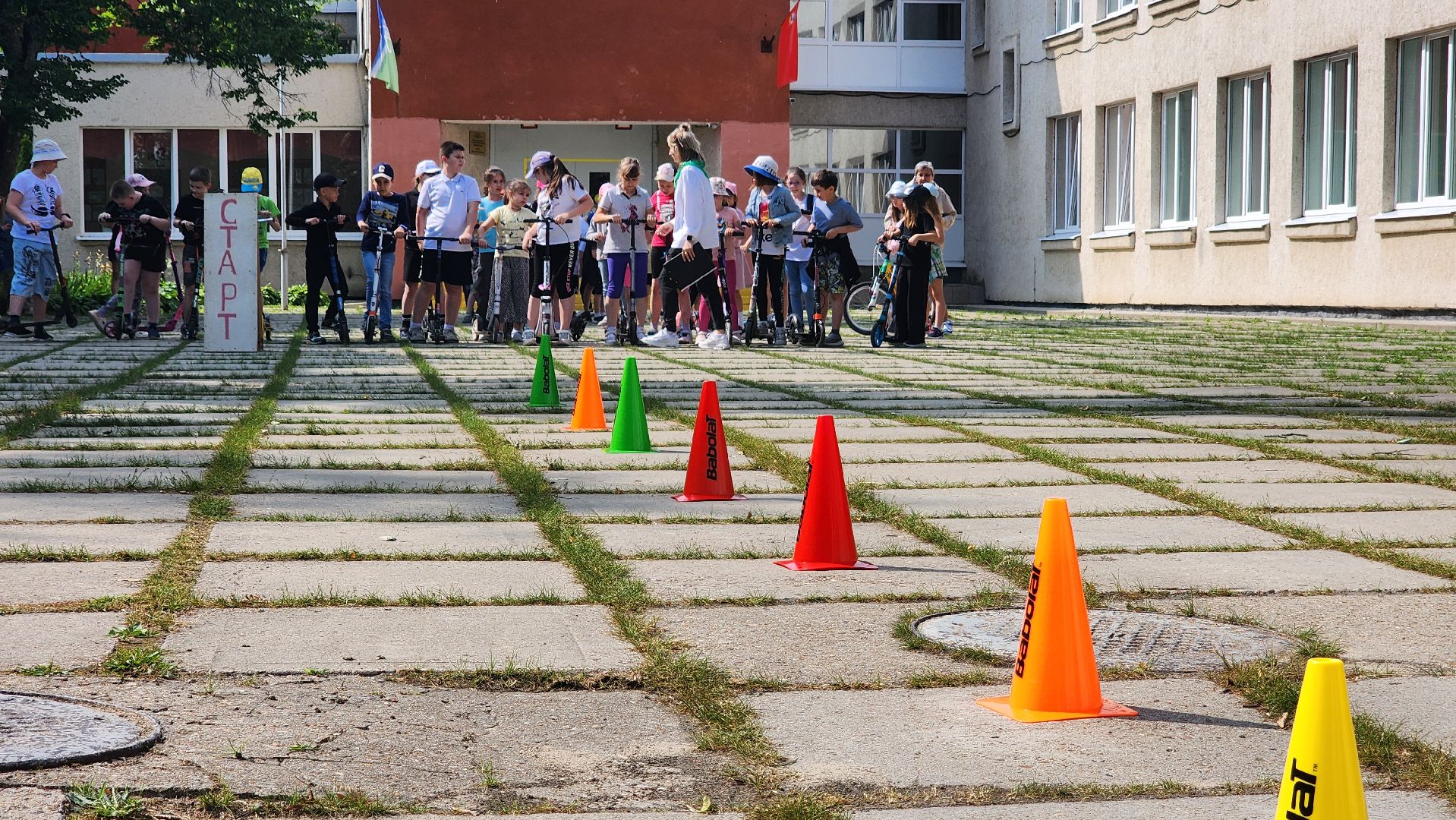 протвино, марафон зеленых дел, экосистема, движение экосистем,