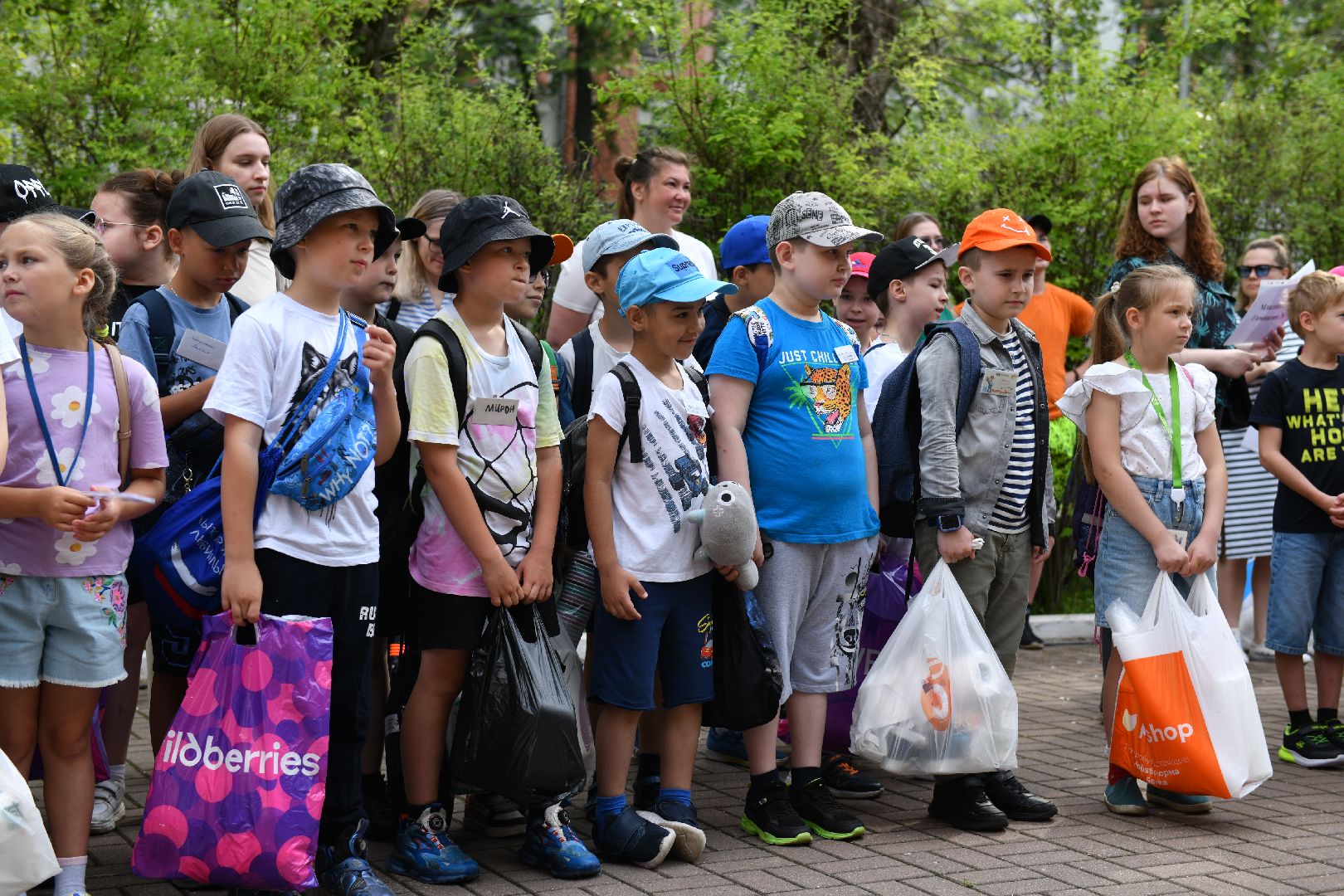 лыткарино, образование, лагерь в школе, лето,