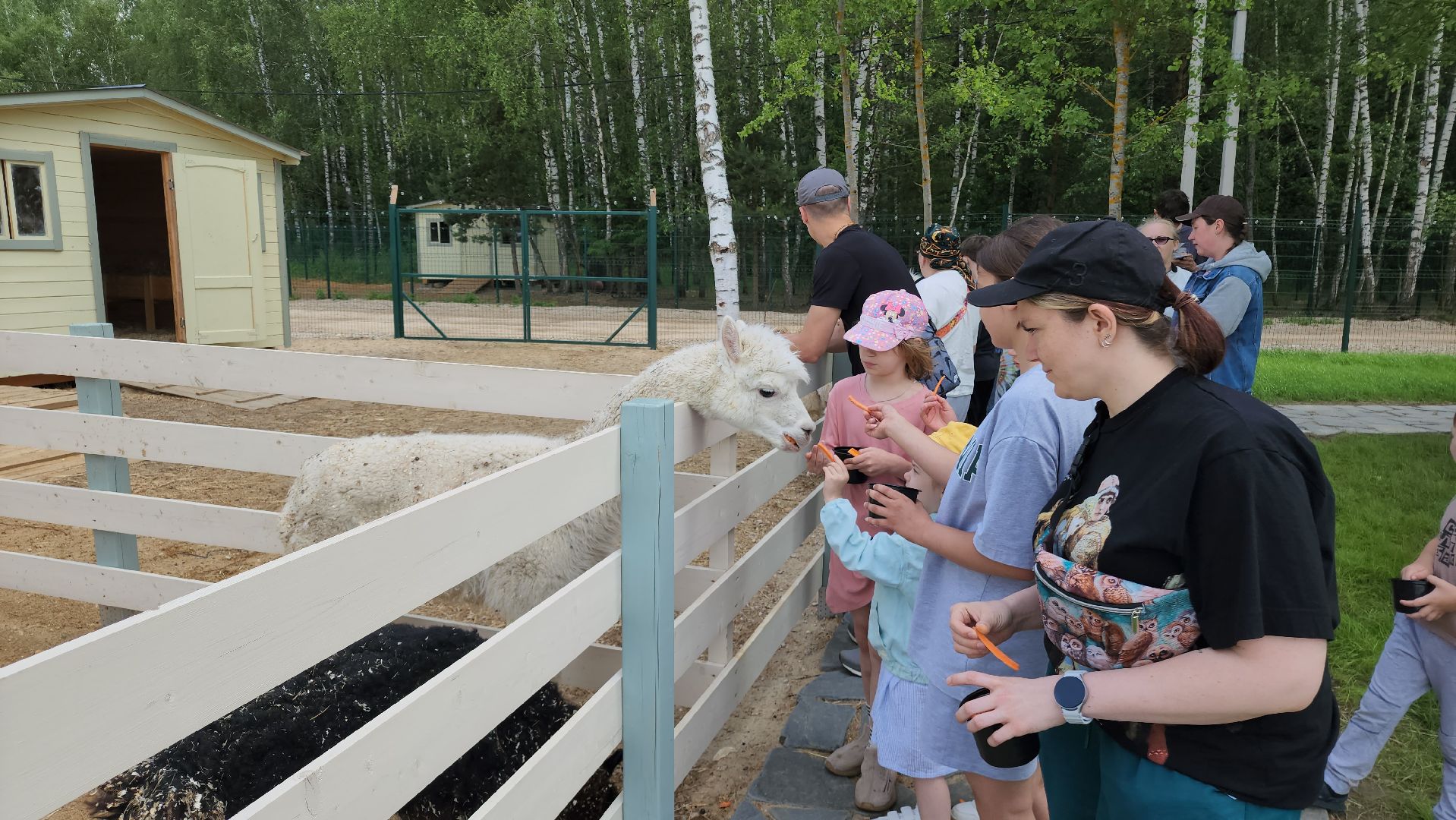 ступино, лето в подмосковье, туризм, экотуризм,