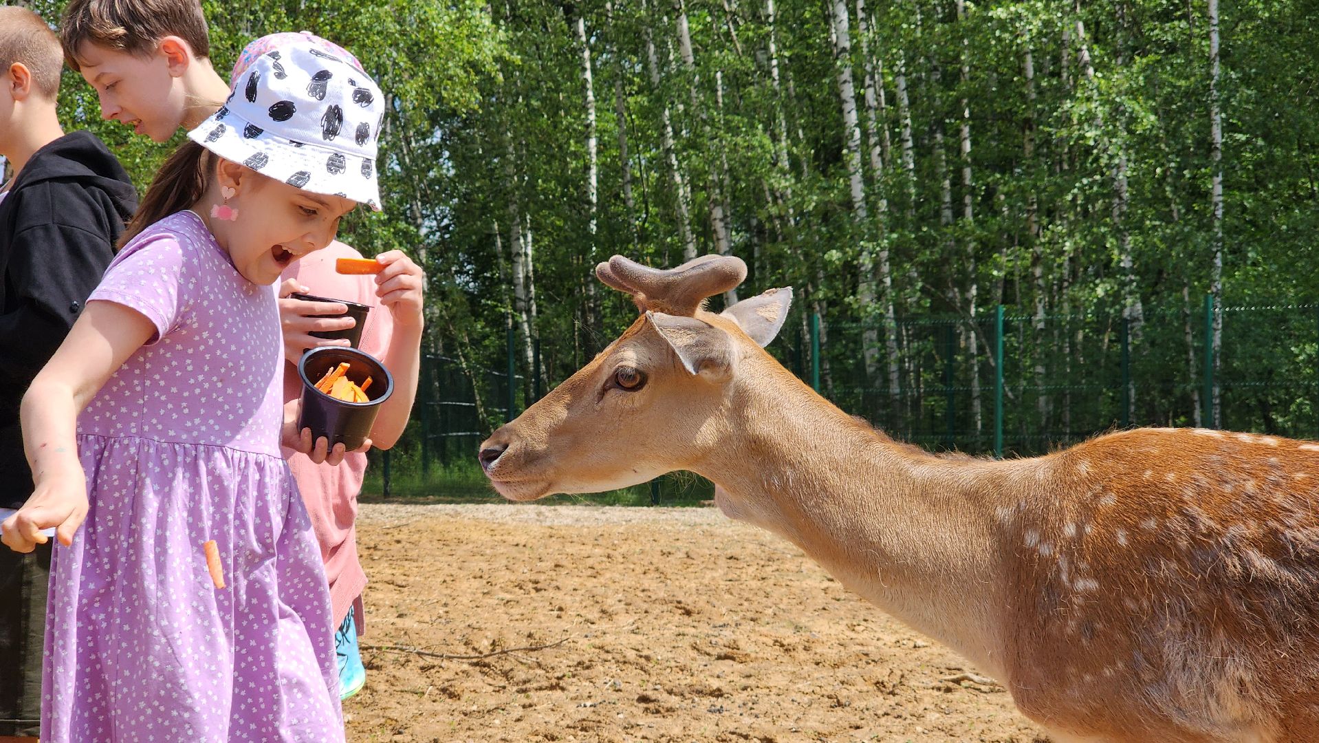 ступино, лето в подмосковье, туризм, экотуризм,