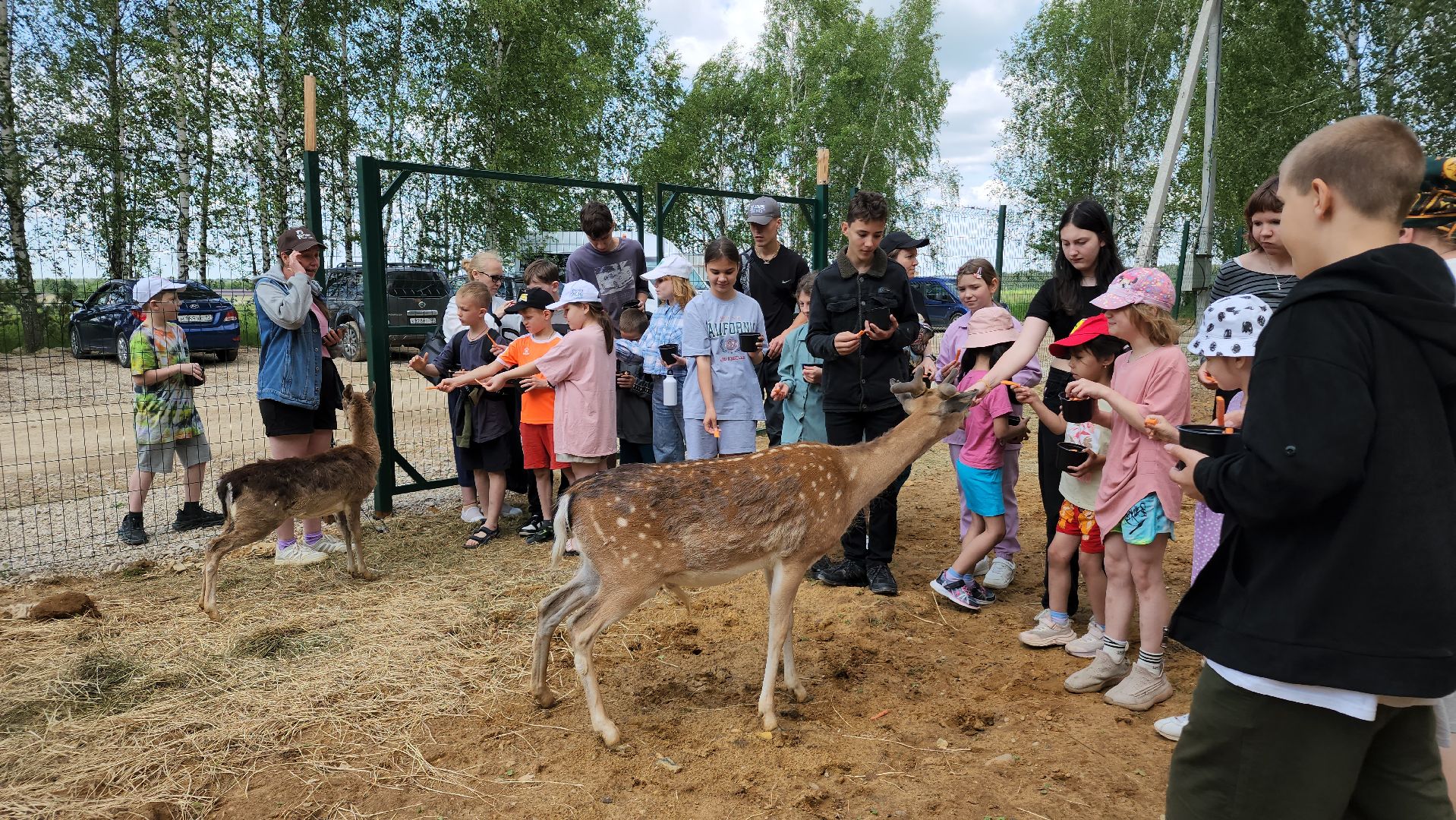 ступино, лето в подмосковье, туризм, экотуризм,