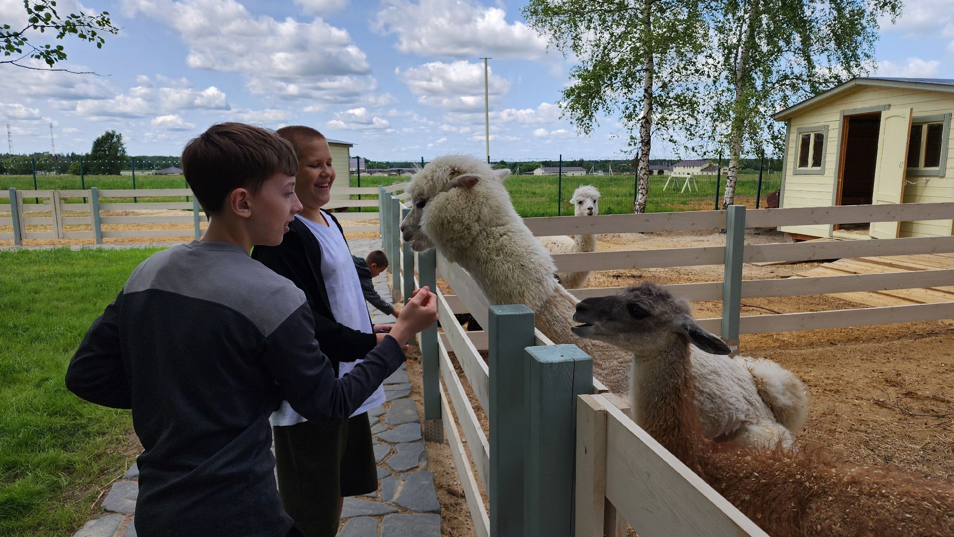 ступино, лето в подмосковье, туризм, экотуризм,