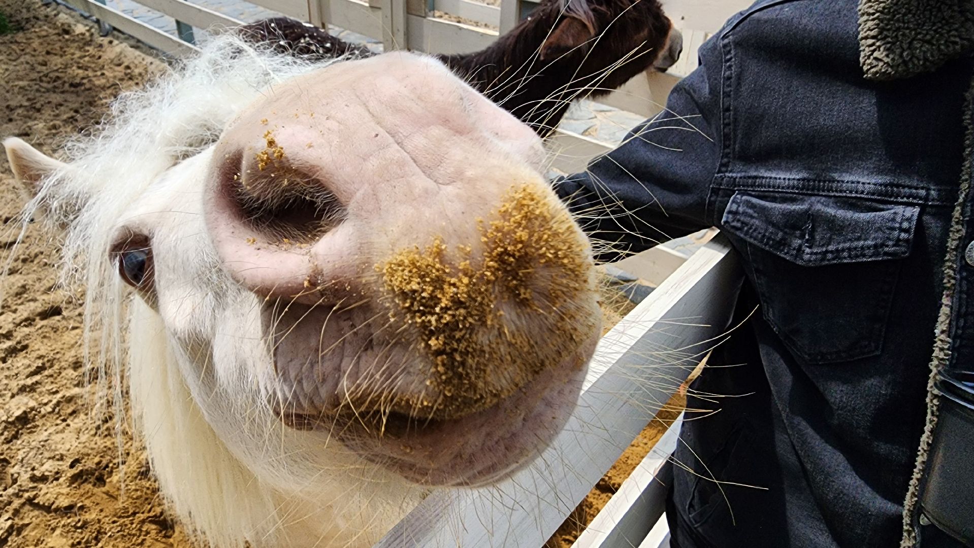 ступино, лето в подмосковье, туризм, экотуризм,