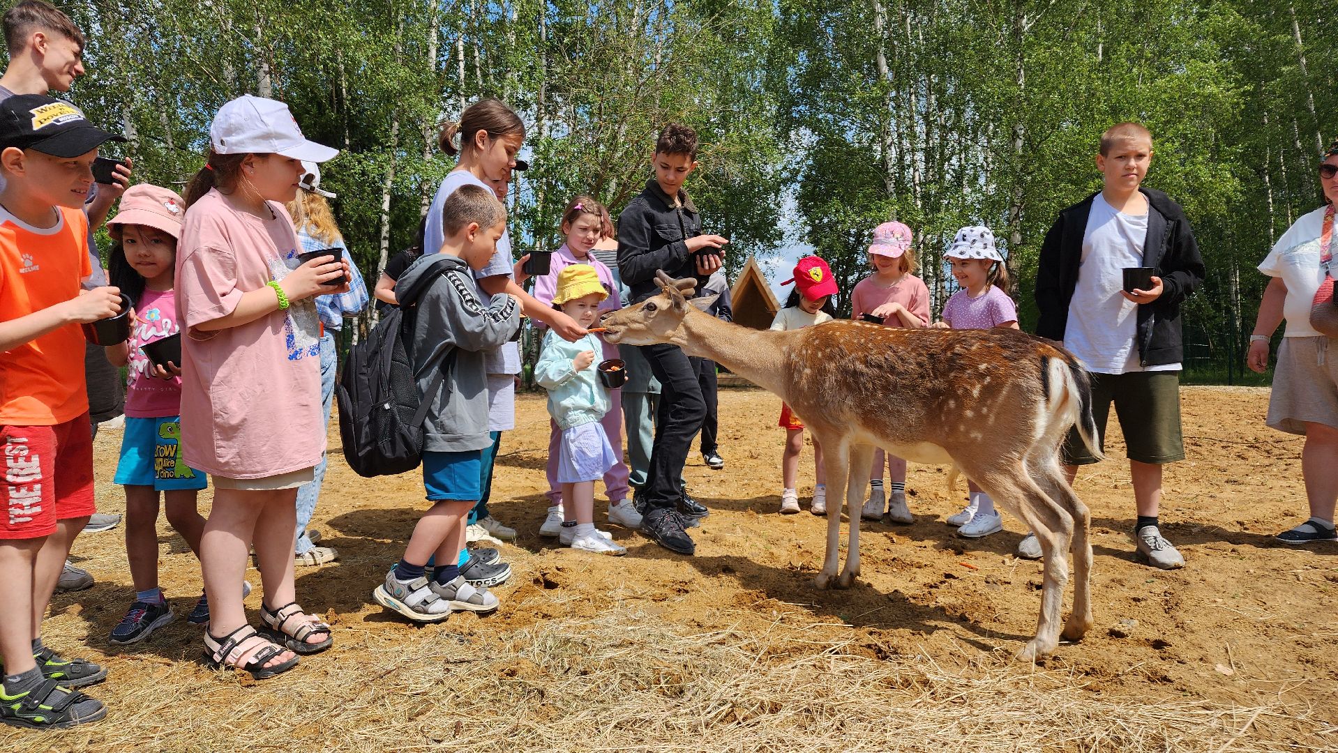 ступино, лето в подмосковье, туризм, экотуризм,