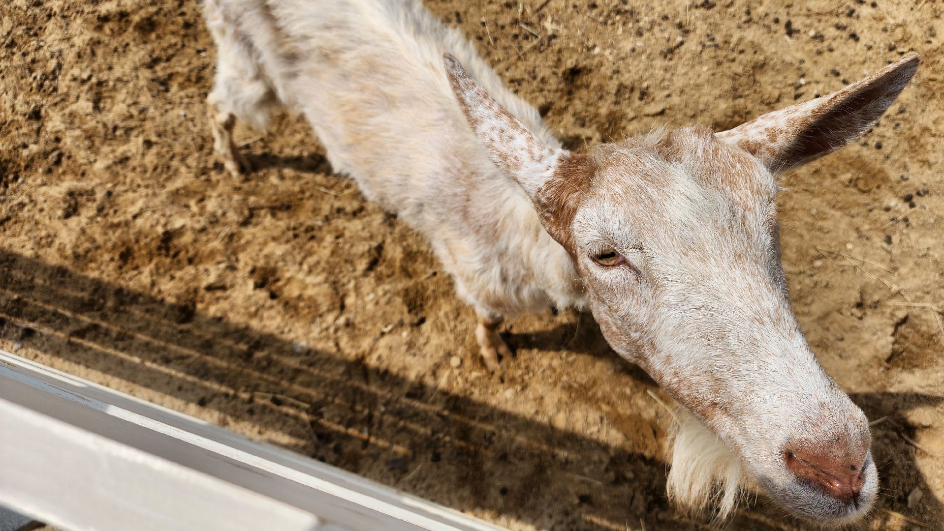ступино, лето в подмосковье, туризм, экотуризм,