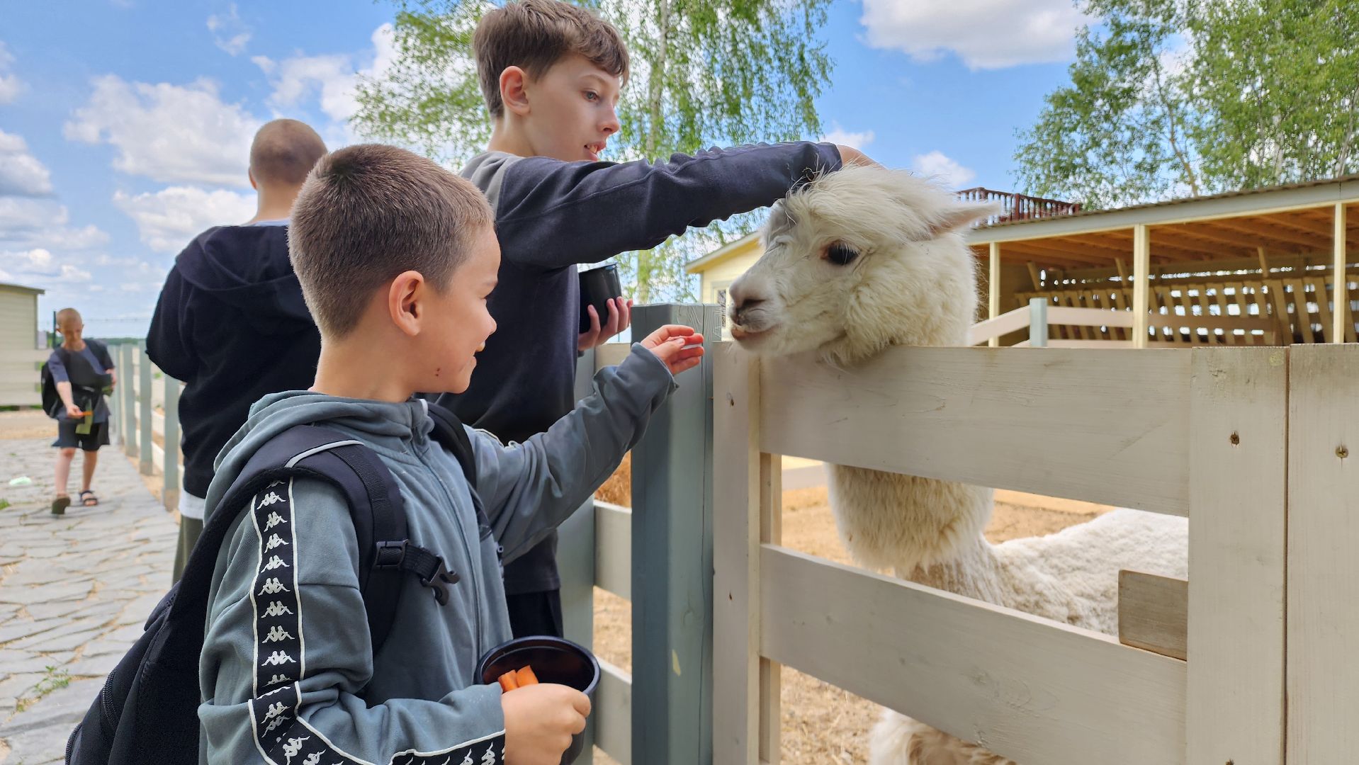 ступино, лето в подмосковье, туризм, экотуризм,