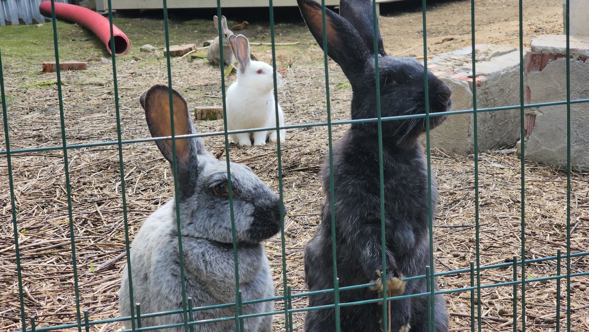 ступино, лето в подмосковье, туризм, экотуризм,