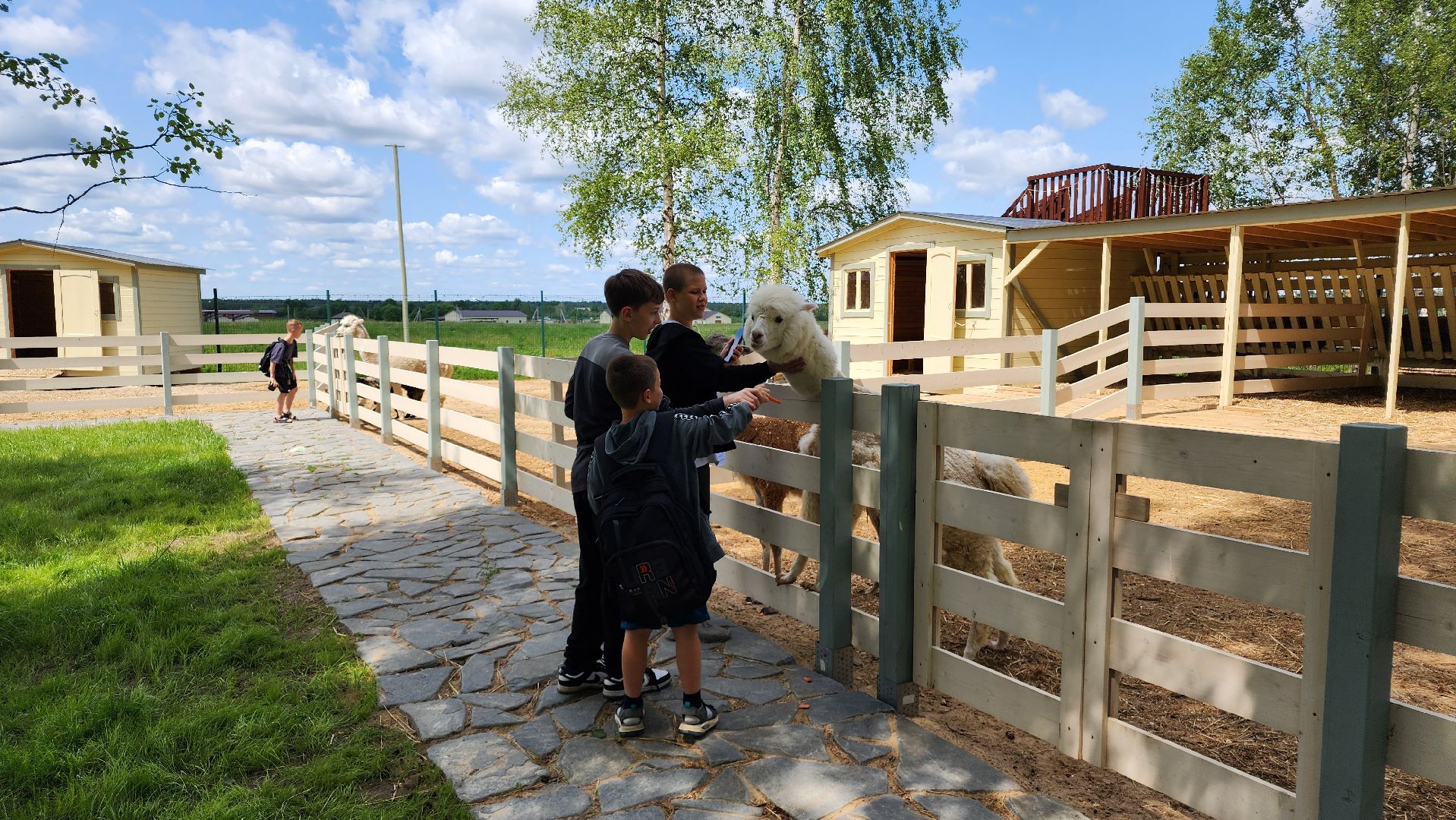ступино, лето в подмосковье, туризм, экотуризм,