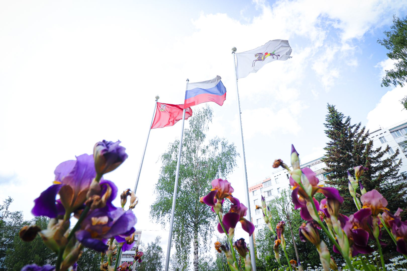 клин, образование,  лучший учитель, подмосковье, династия,