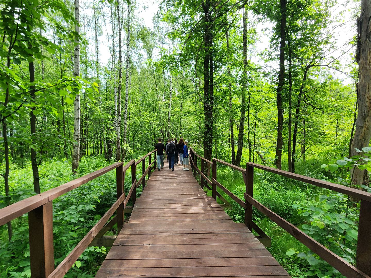 мытищи, лосиный остров,
