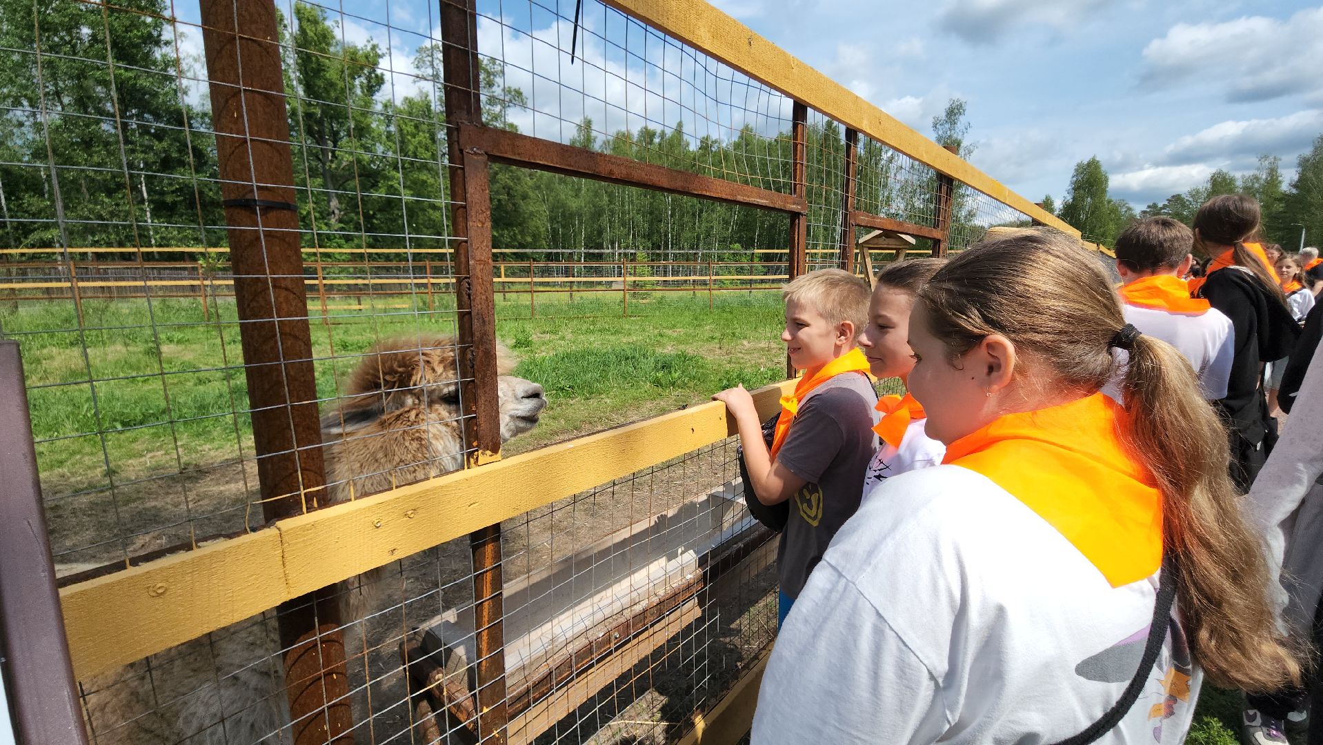 мытищи, лосиный остров,