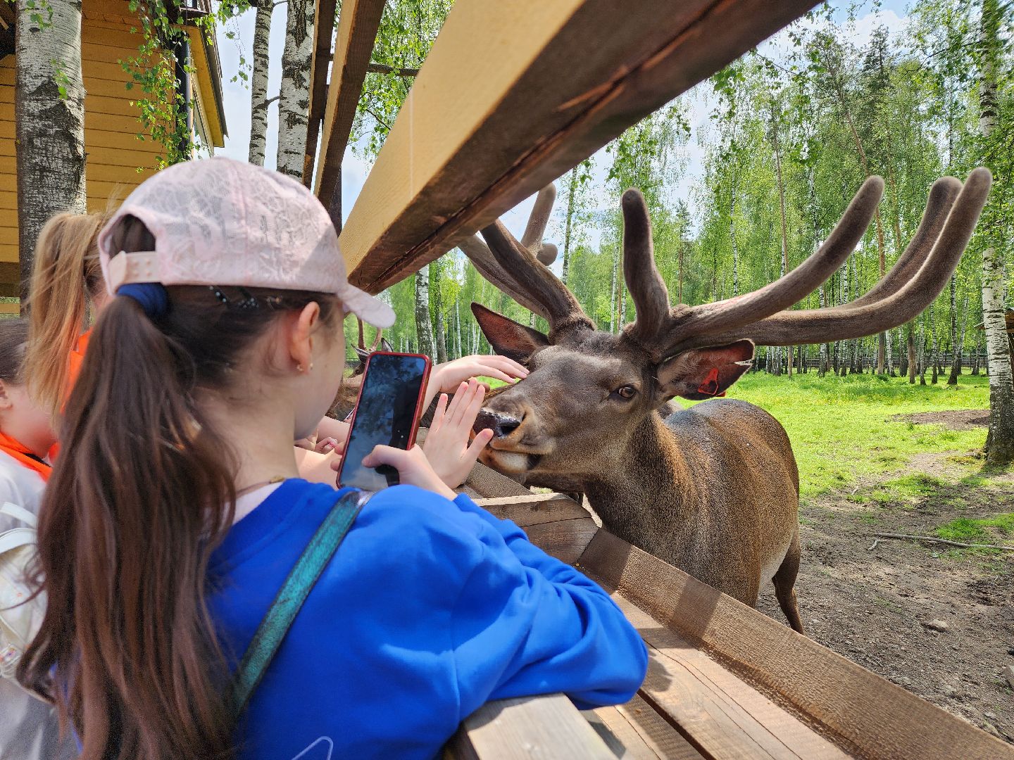 мытищи, лосиный остров,