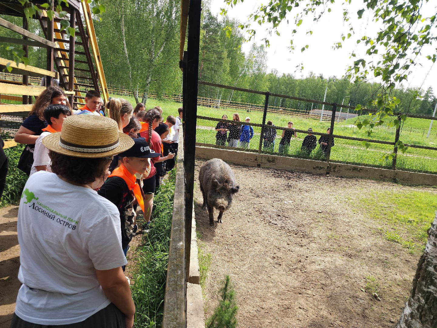 мытищи, лосиный остров,