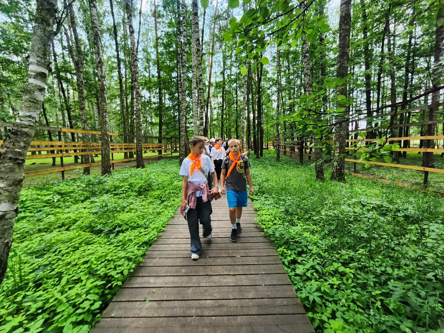 мытищи, лосиный остров,