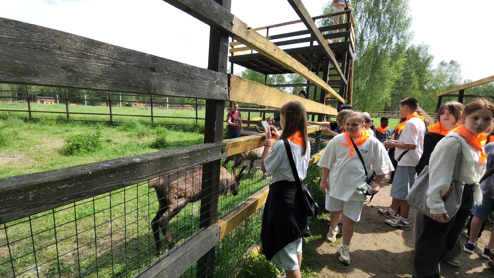 мытищи, лосиный остров,