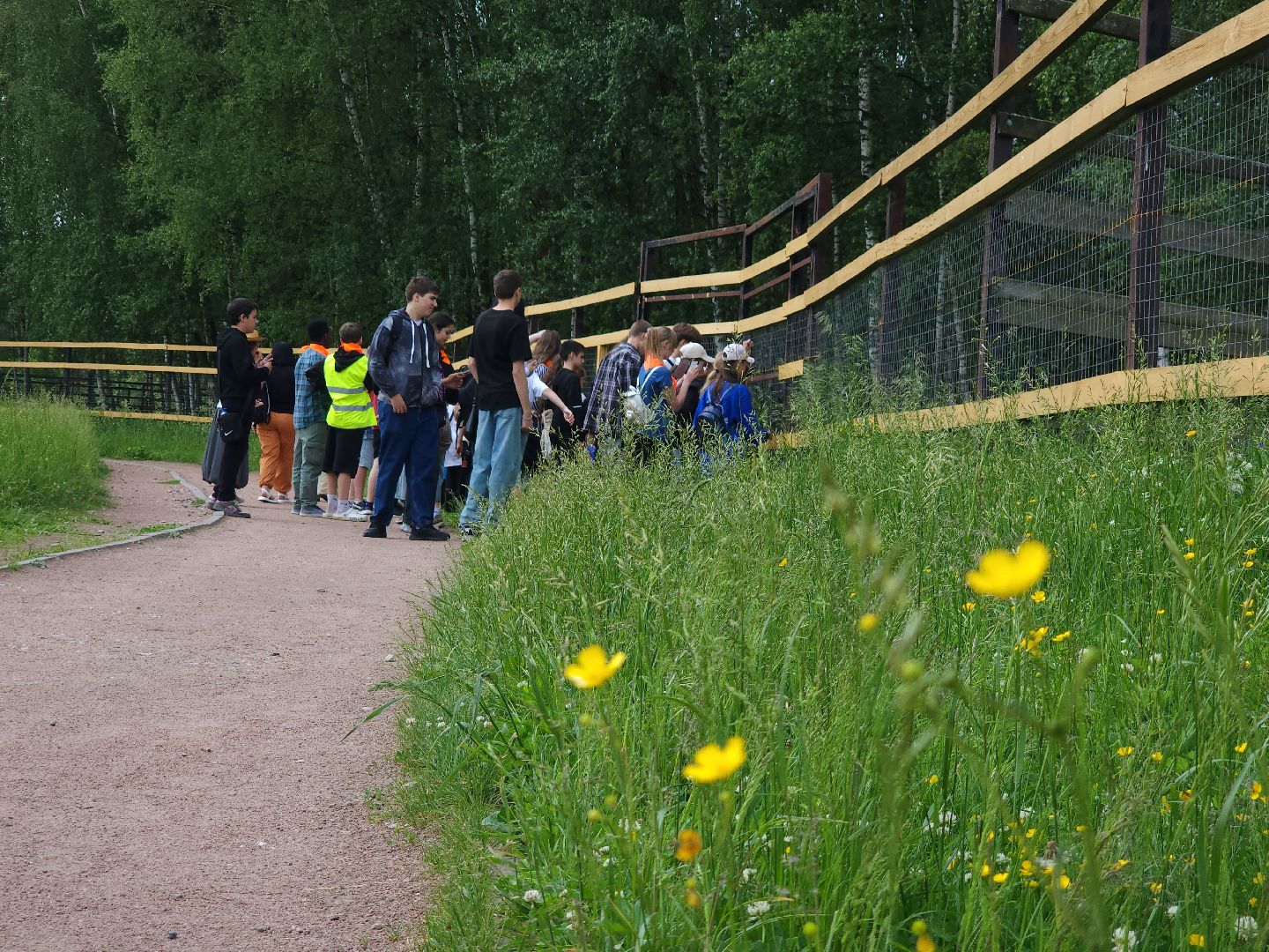 мытищи, лосиный остров,