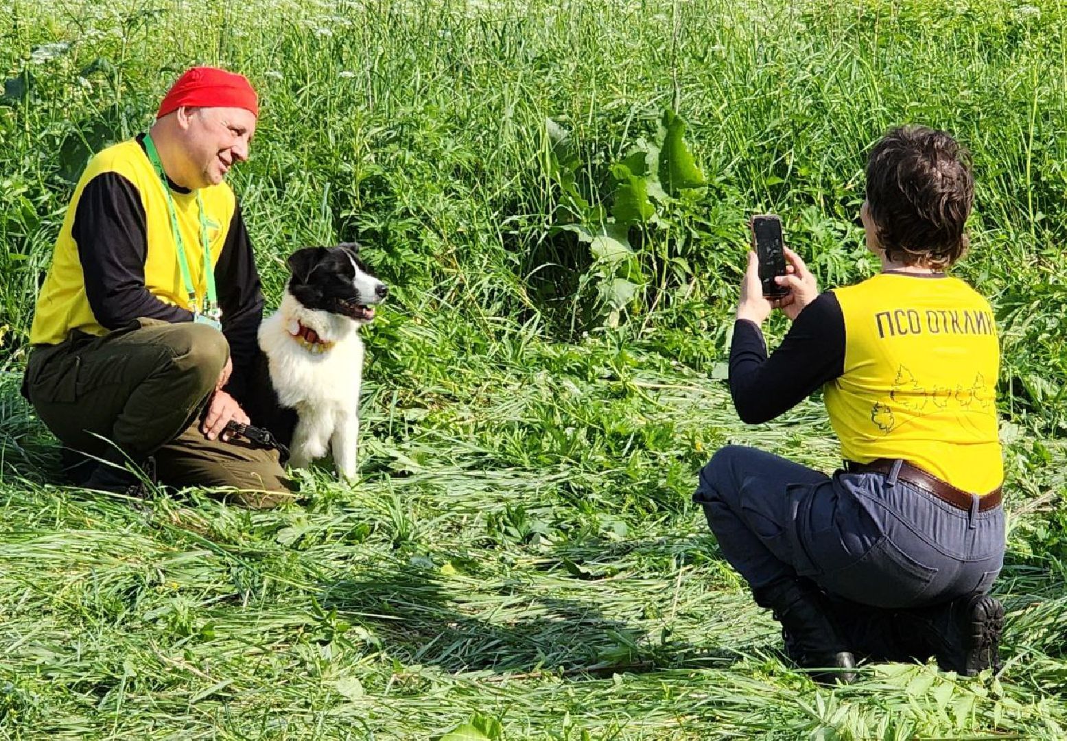 воскресенск, кинологи, соревнования, собаки,