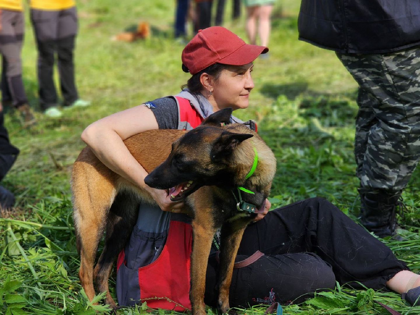 воскресенск, кинологи, соревнования, собаки,