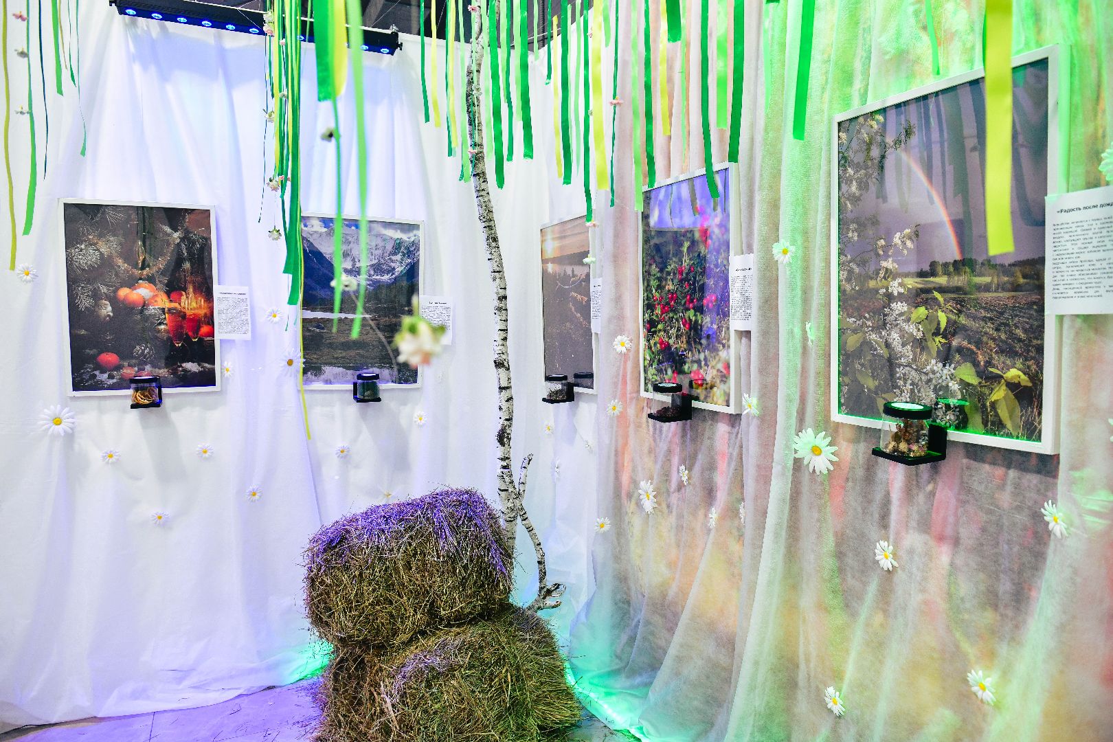 выставка, искусство, картины,