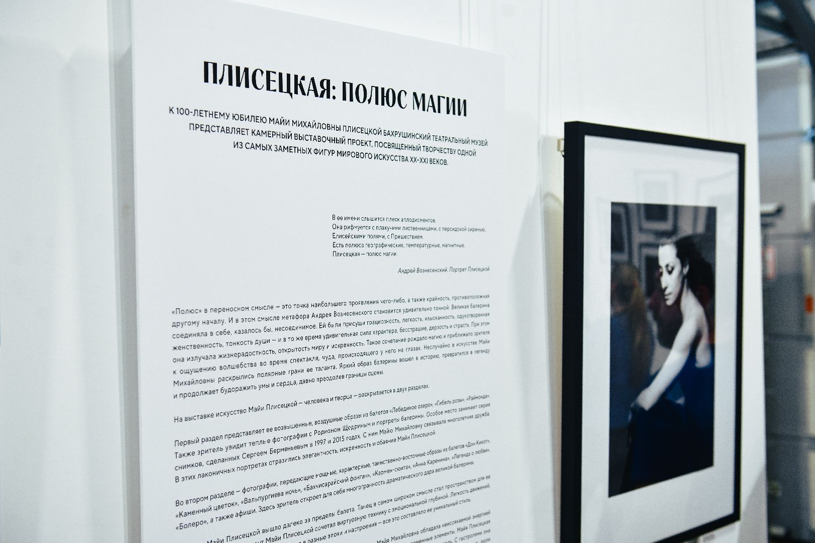 выставка, искусство, картины,