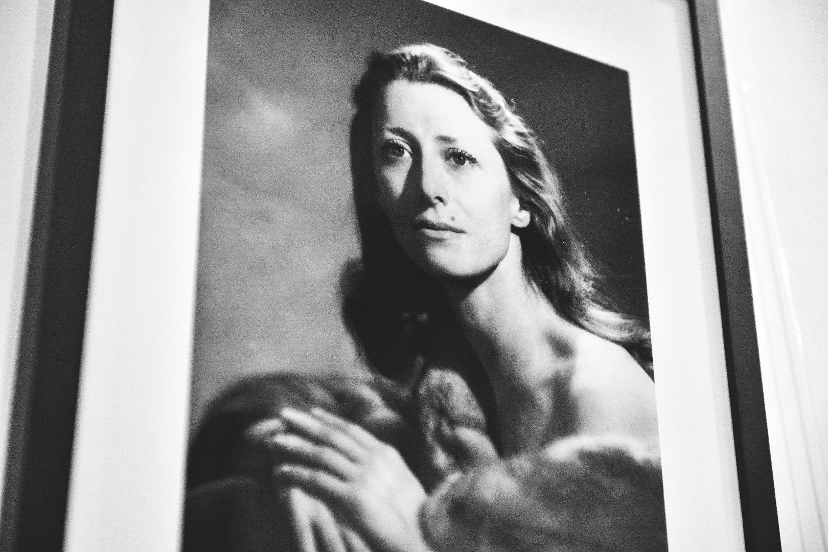 выставка, искусство, картины,