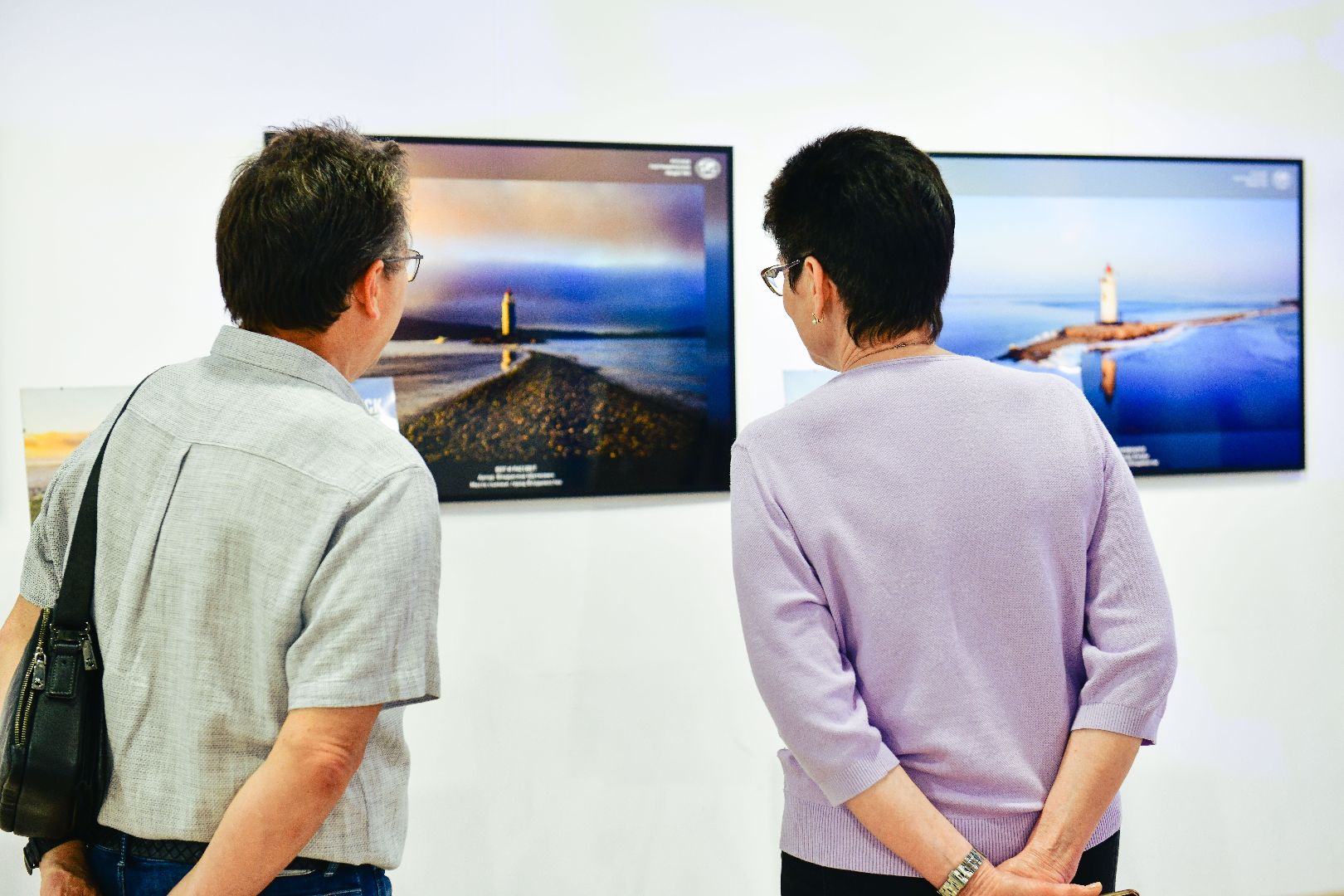 выставка, искусство, картины,