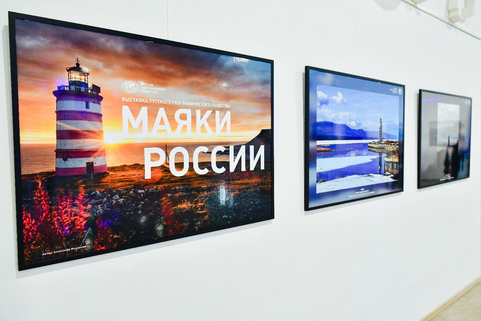 выставка, искусство, картины,