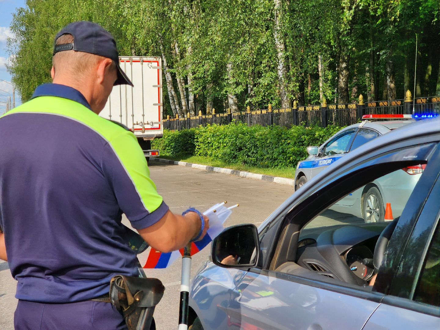 ногинск, жители, общество, день россии, мвд, полиция,