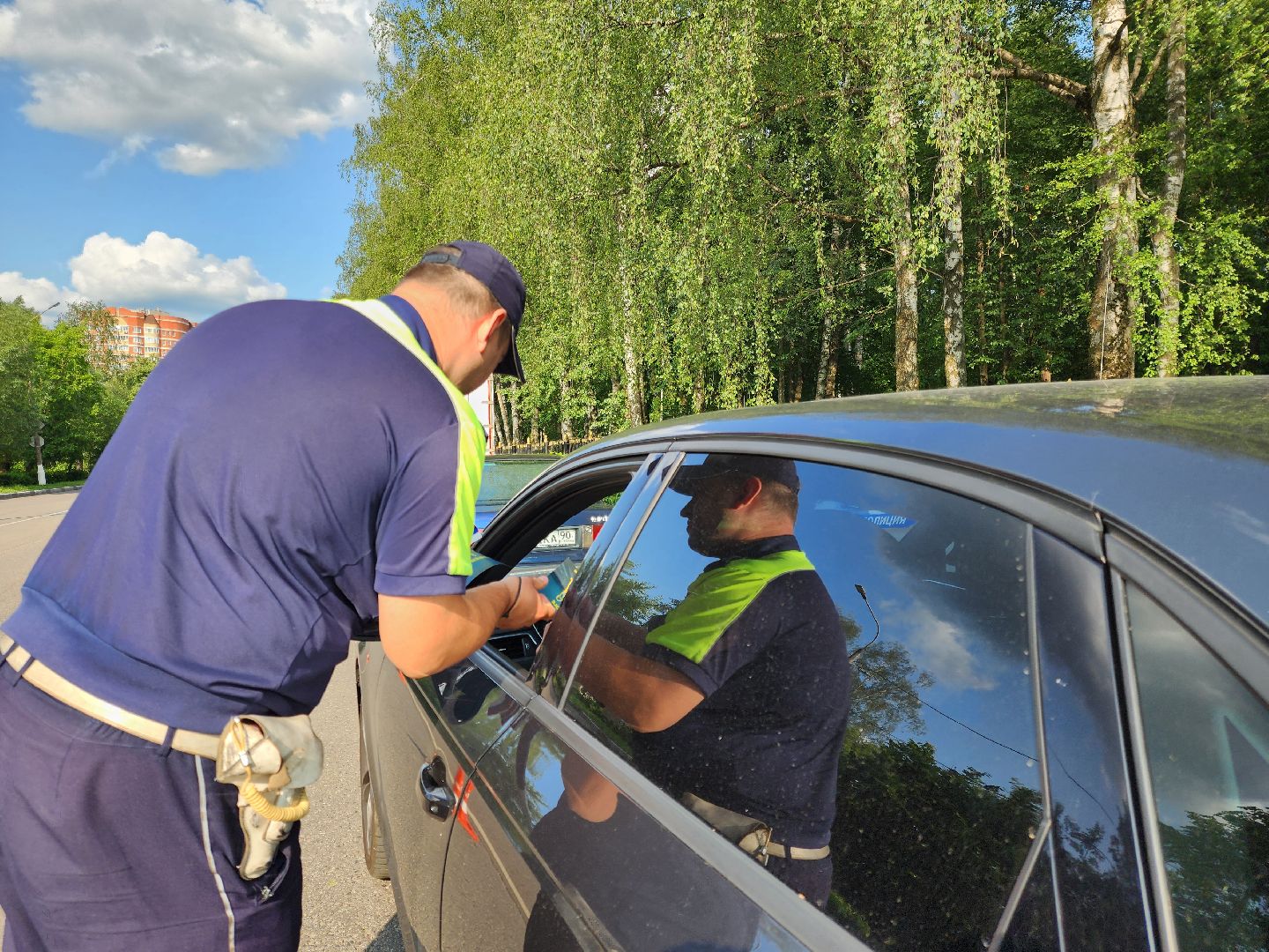 ногинск, жители, общество, день россии, мвд, полиция,