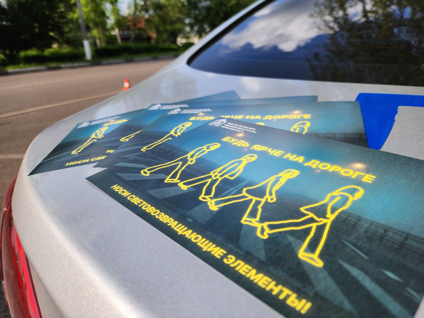 ногинск, жители, общество, день россии, мвд, полиция,