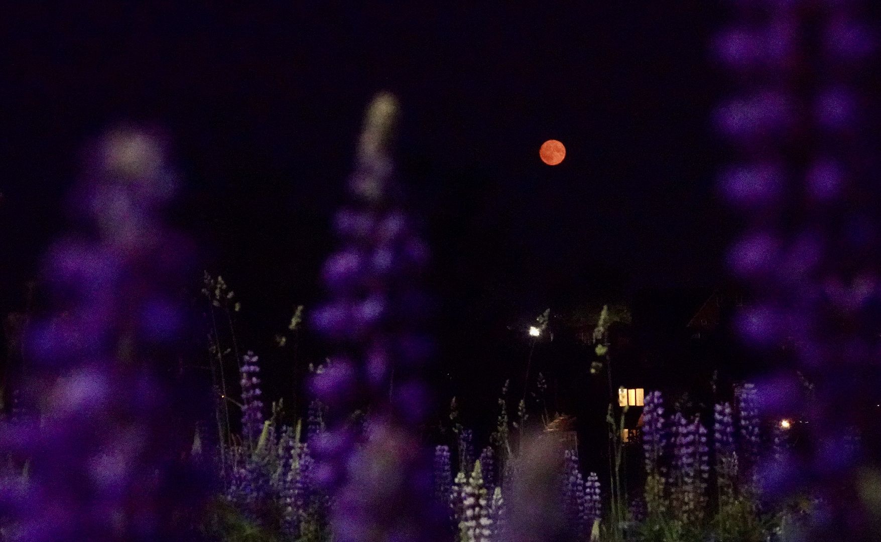 сергиев посад, сергиево-посадский городской округ, клубничная луна , полнолуние, природа , красота ,  лето в подмосковье,