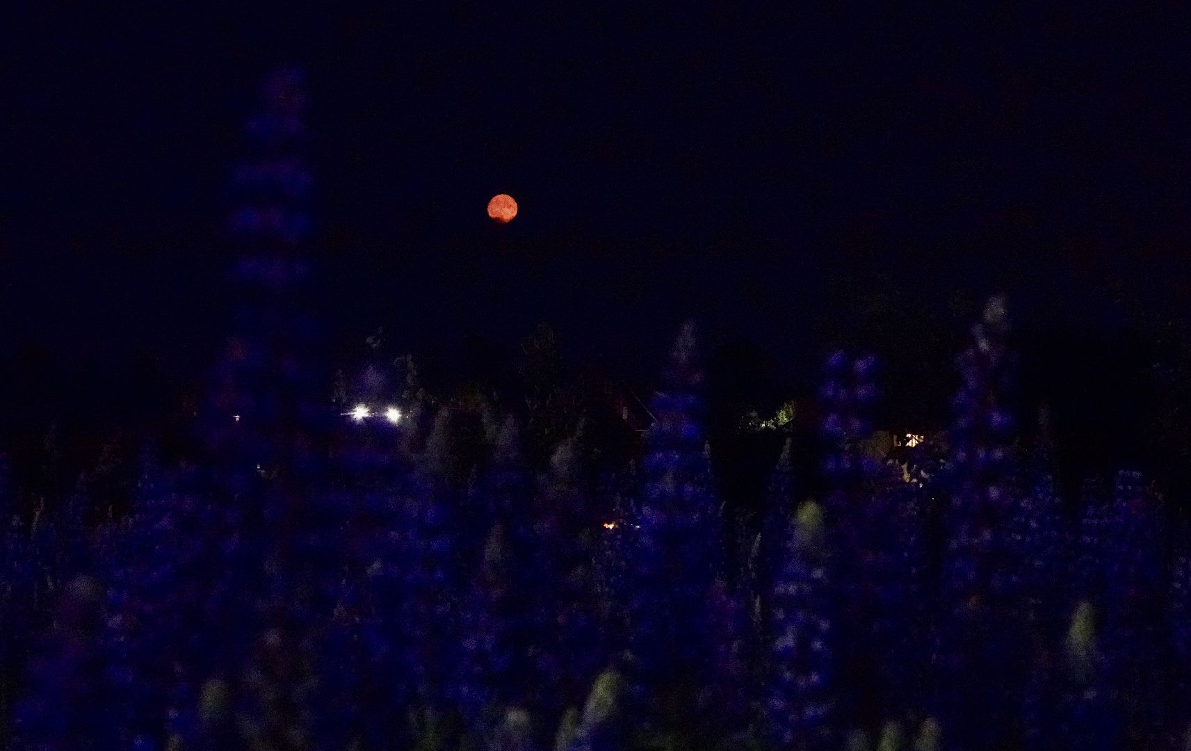 сергиев посад, сергиево-посадский городской округ, клубничная луна , полнолуние, природа , красота ,  лето в подмосковье,