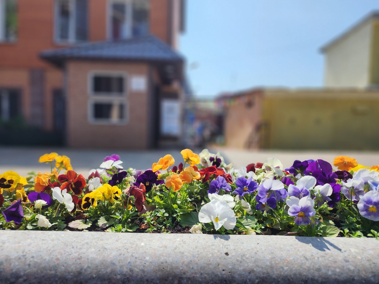 сергиев посад, музей ретрогараж, сергиево-посадский музейный комплекс,  семен жильцов, ушастый запорожец, советское кино,