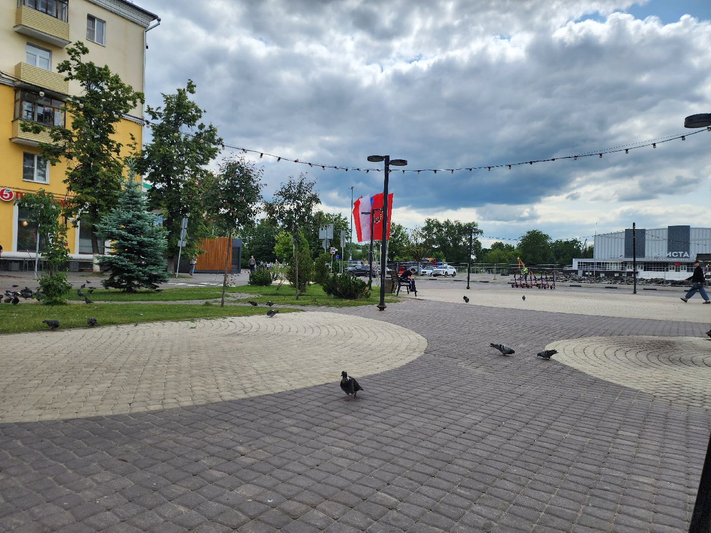 Электросталь , Жители, Общество, День России , Коммунальные службы ,  украшение,