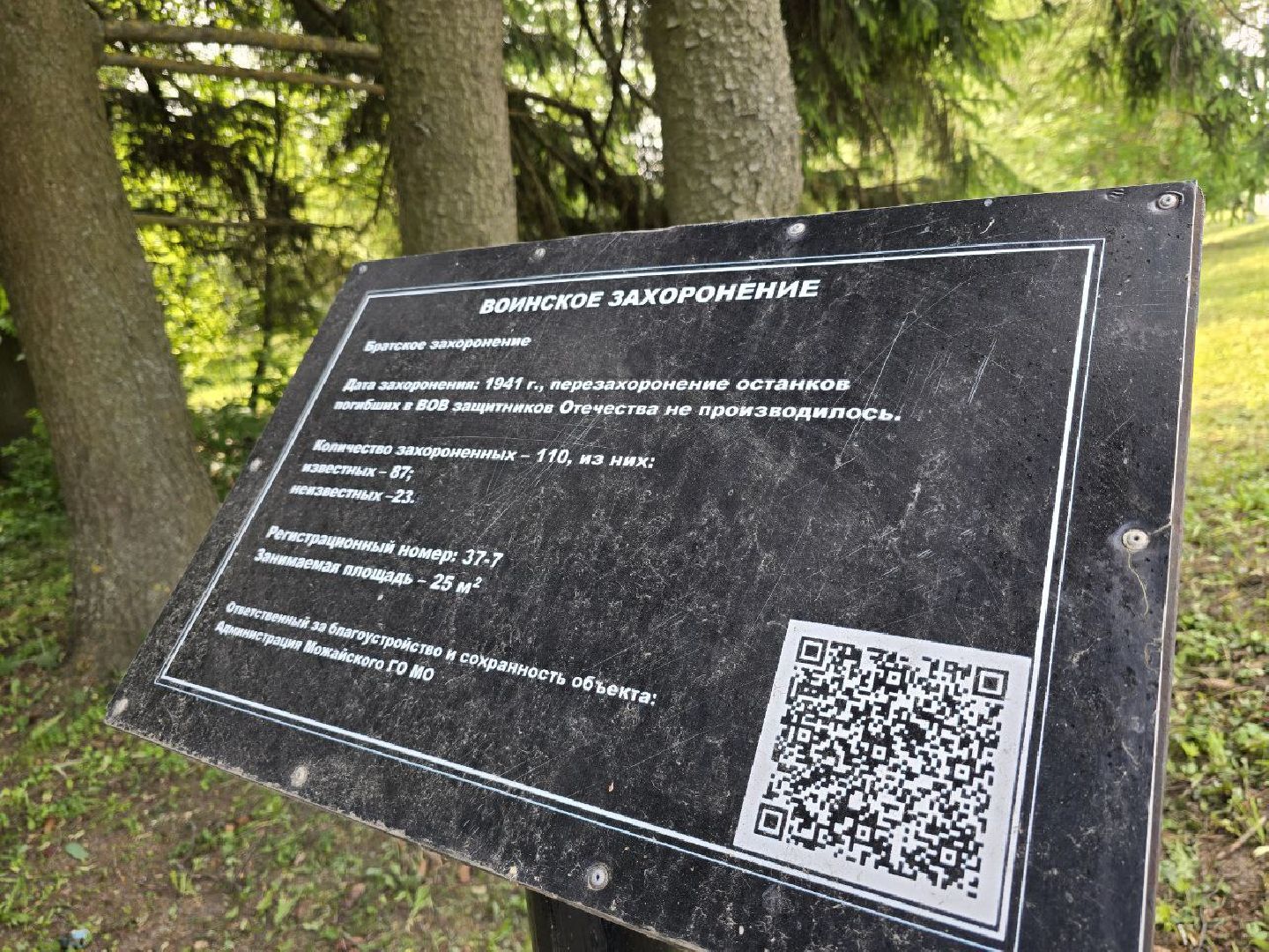 можайск, можайский муниципальный округ, подмосковье, благоустройство, однолетние цветы, посадка,