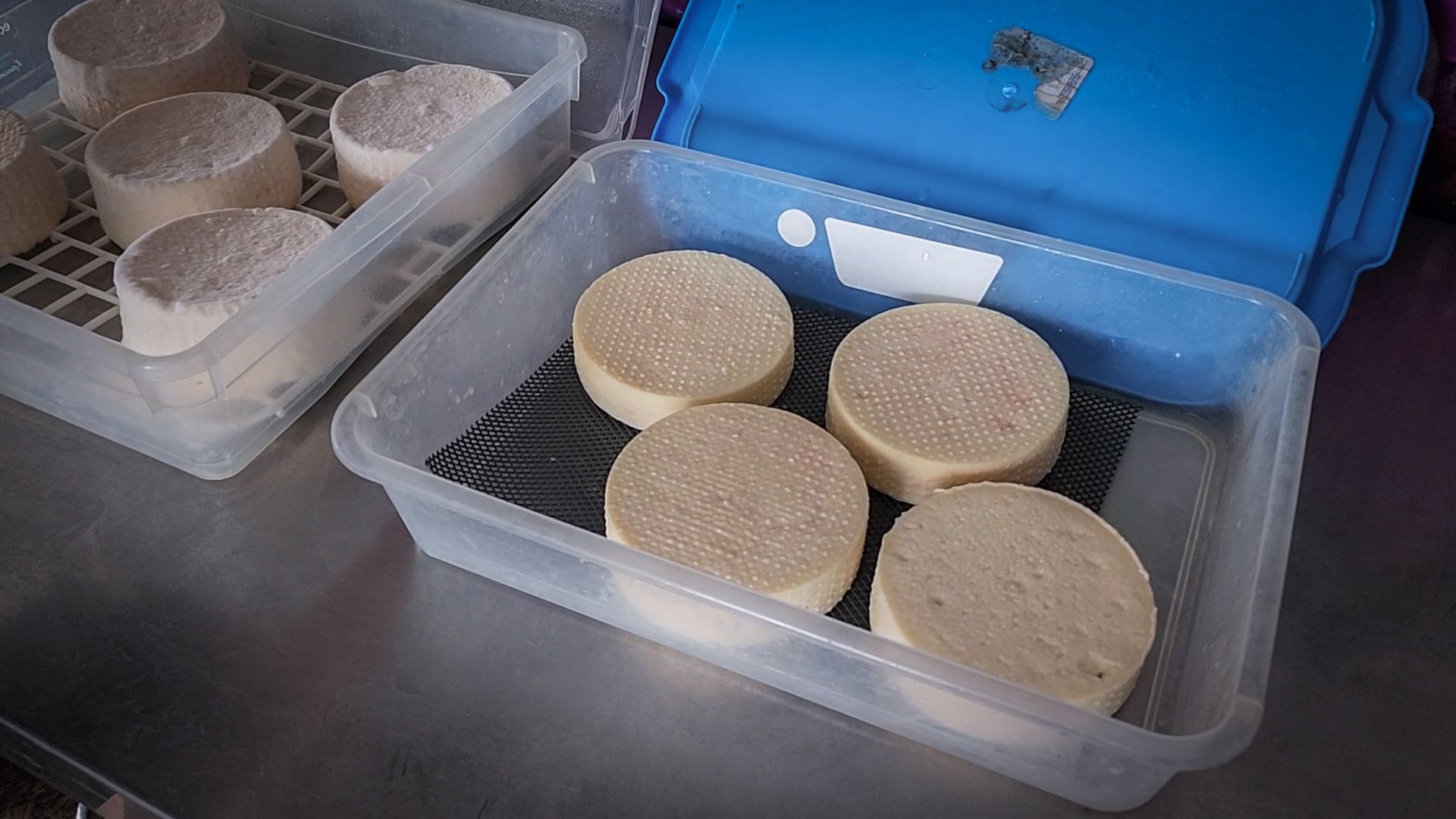 сыры из козьего молока, сыры ручной работы , экоферма Сотенка , раменский округ,