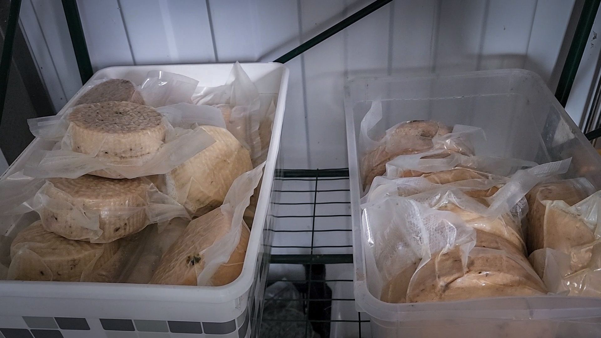 сыры из козьего молока, сыры ручной работы , экоферма Сотенка , раменский округ,