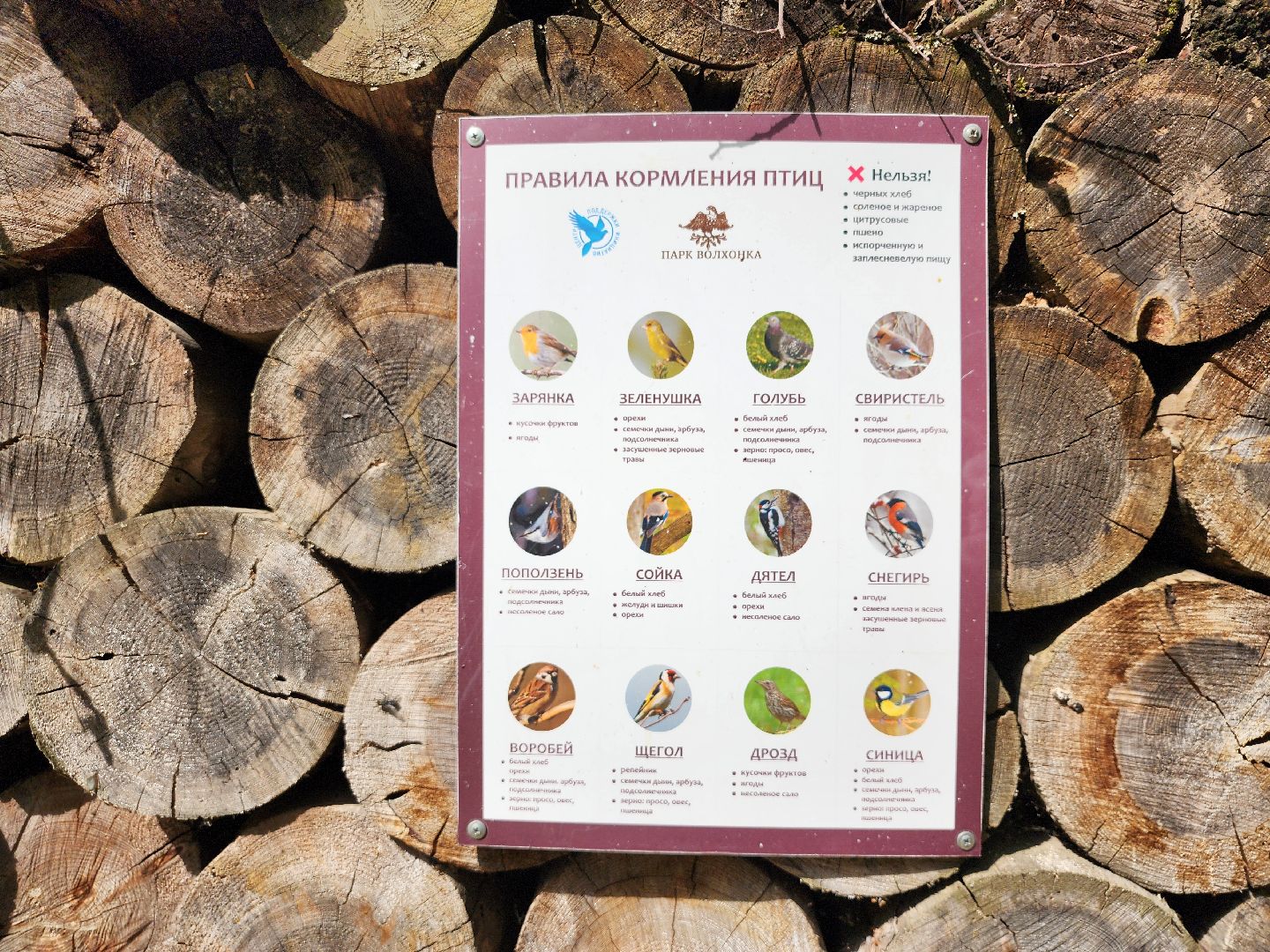 благоустройство, всероссийское голосование, парк волхонка, ногинск, богородский городской округ,