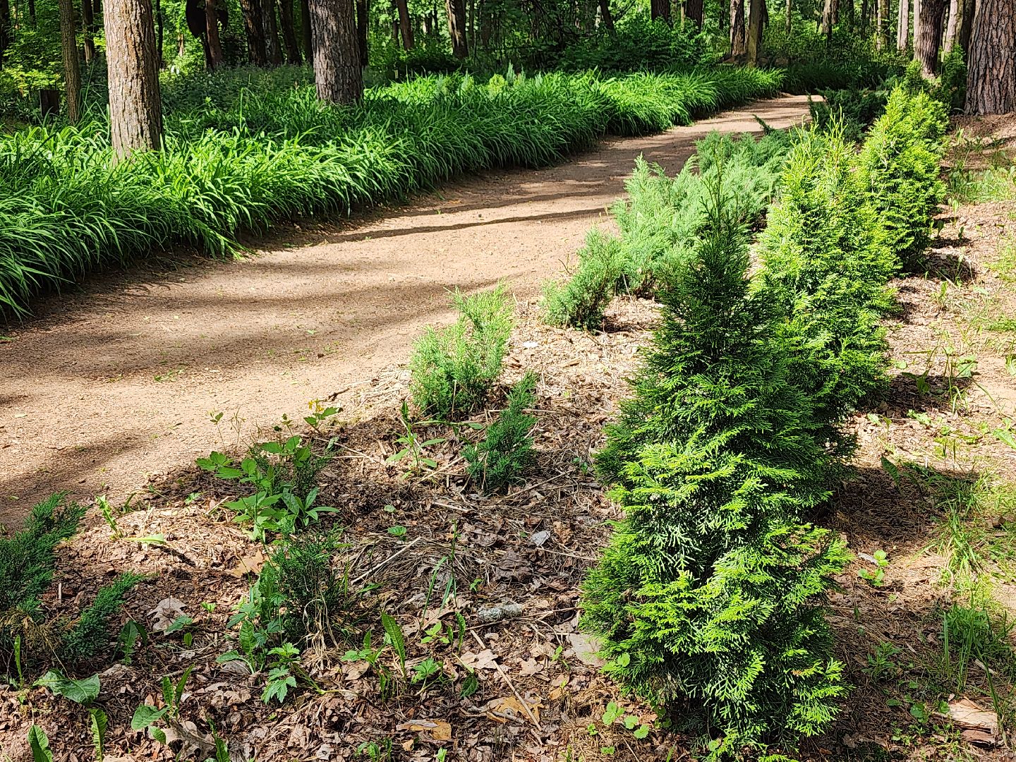 благоустройство, всероссийское голосование, парк волхонка, ногинск, богородский городской округ,