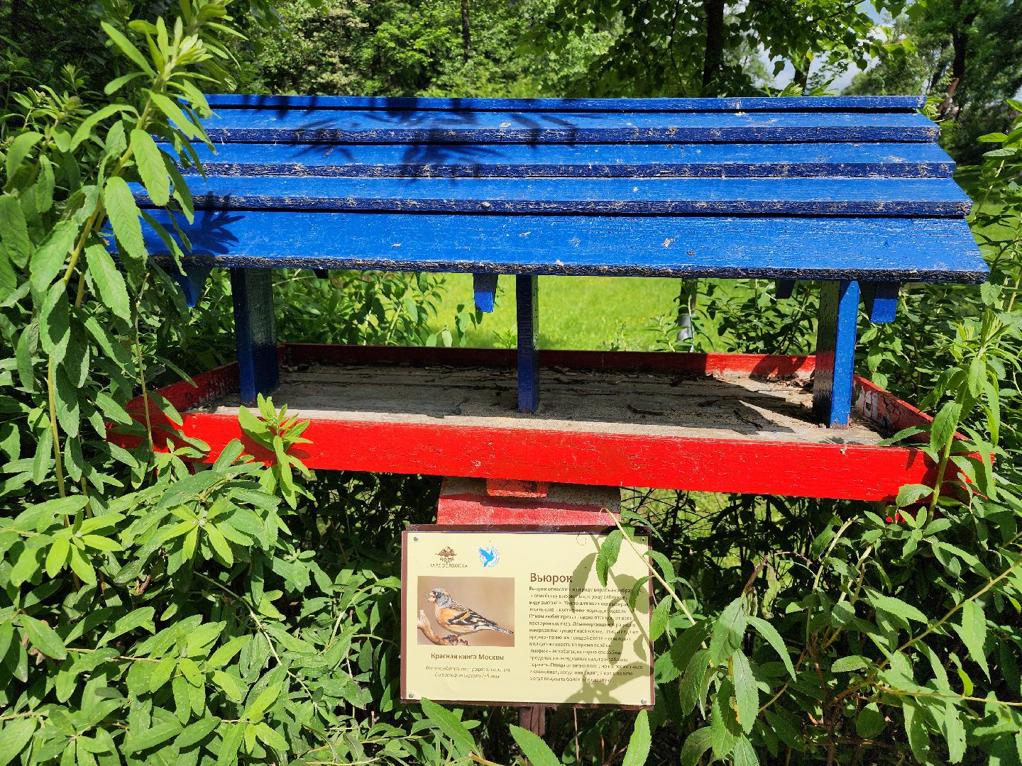 благоустройство, всероссийское голосование, парк волхонка, ногинск, богородский городской округ,