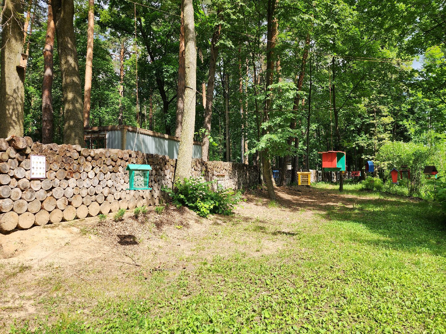 благоустройство, всероссийское голосование, парк волхонка, ногинск, богородский городской округ,