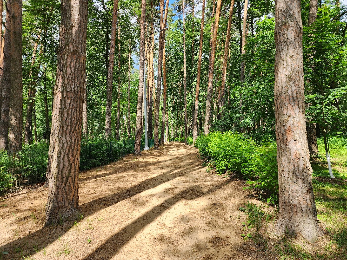 благоустройство, всероссийское голосование, парк волхонка, ногинск, богородский городской округ,