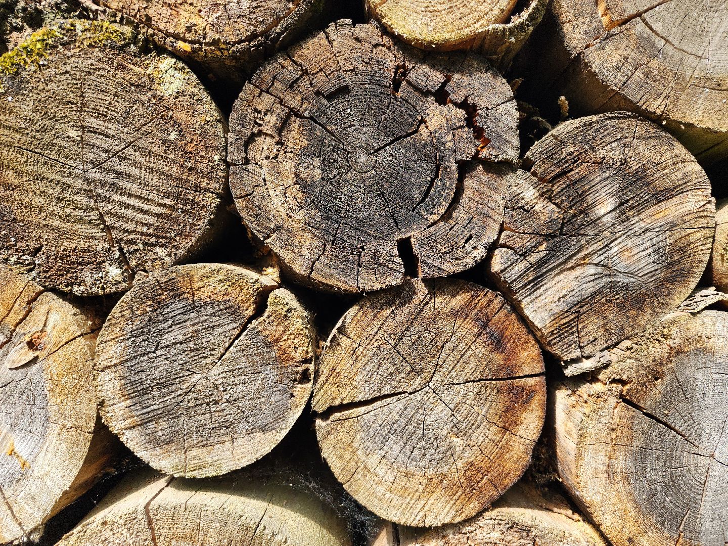 благоустройство, всероссийское голосование, парк волхонка, ногинск, богородский городской округ,