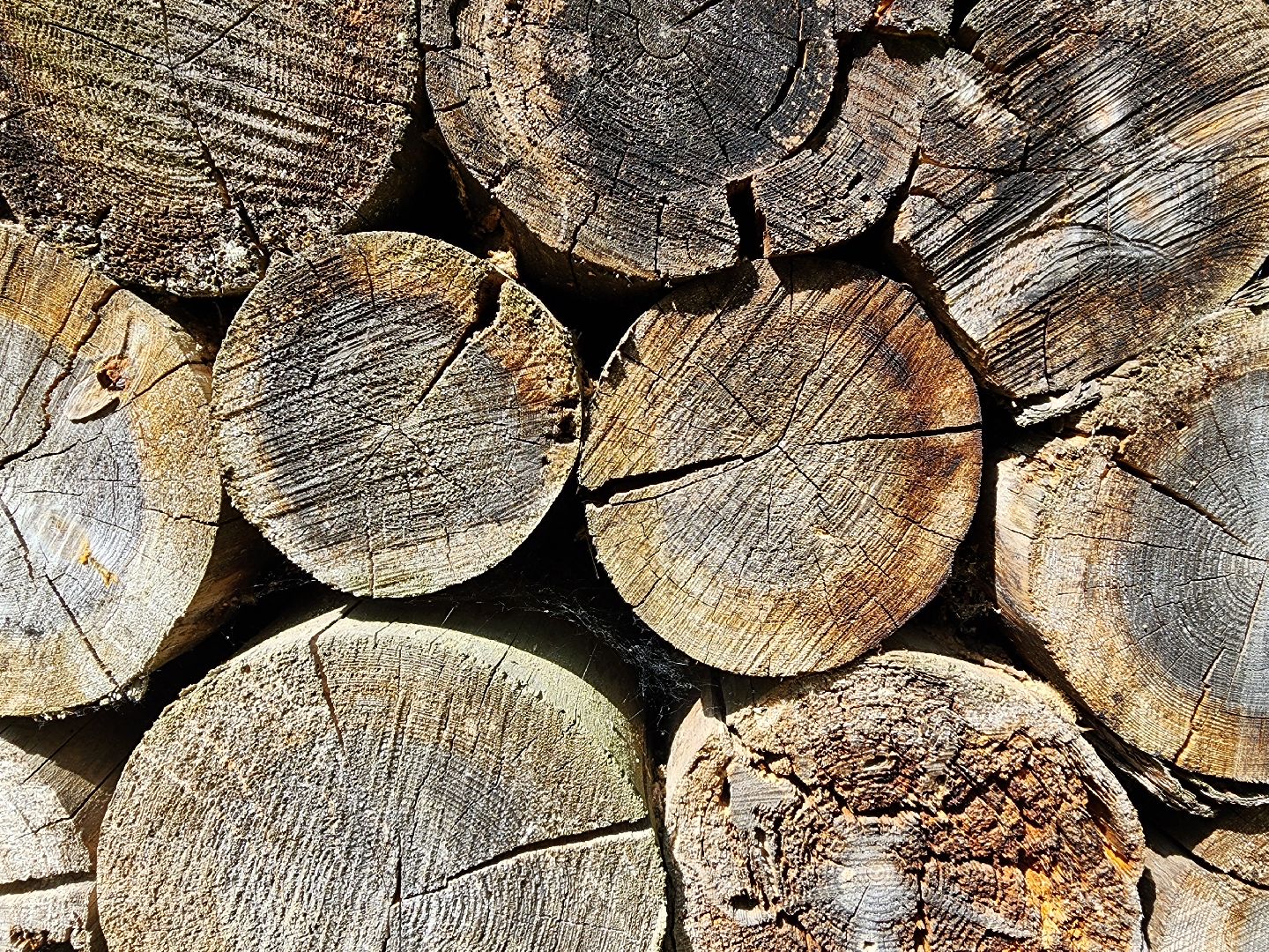 благоустройство, всероссийское голосование, парк волхонка, ногинск, богородский городской округ,