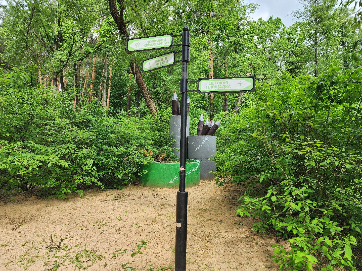 благоустройство, всероссийское голосование, парк волхонка, ногинск, богородский городской округ,