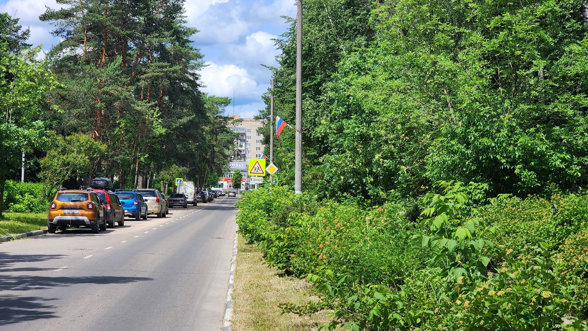 день россии, триколор, протвино,