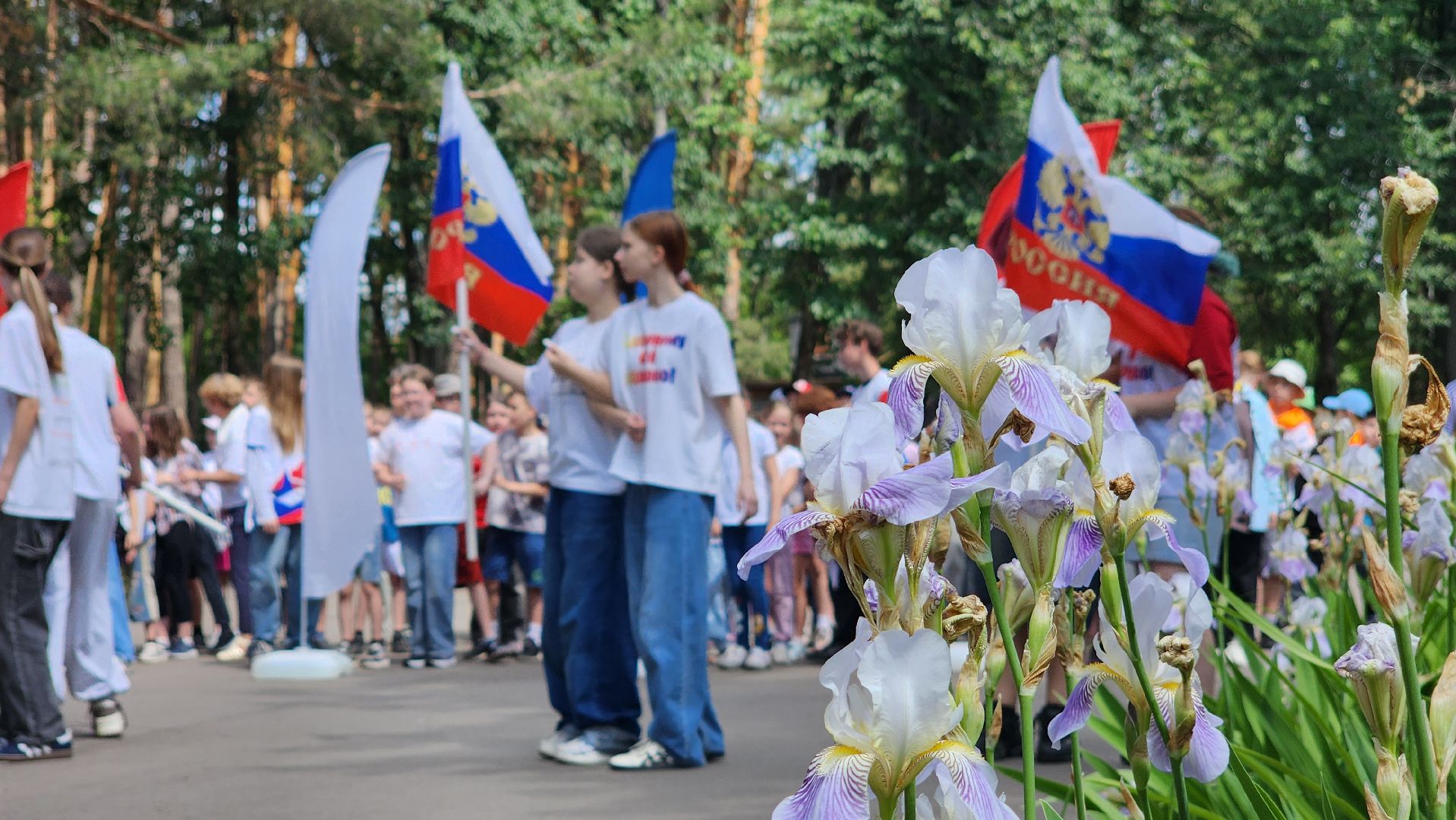 протвино, день россии, праздник,