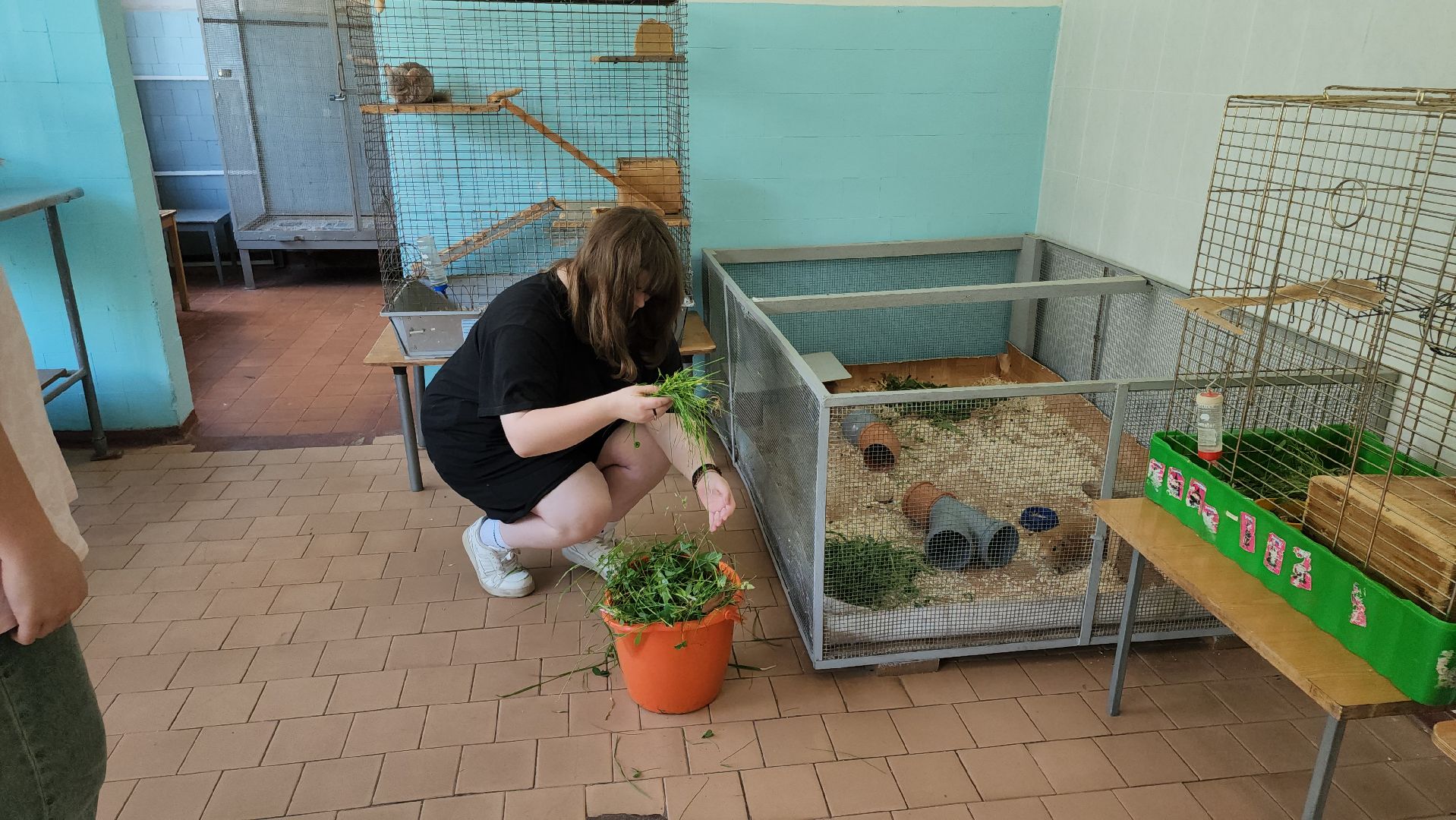 кашира, детский экологический центр, работа, школьники, животные, живой уголок, трудовые бригады,