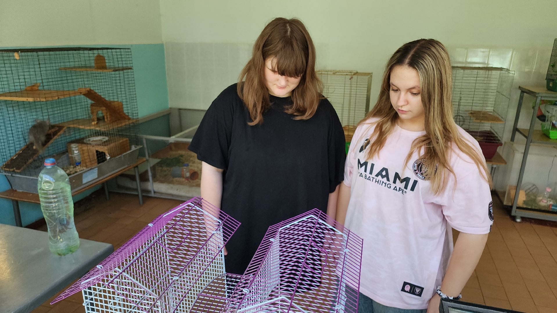 кашира, детский экологический центр, работа, школьники, животные, живой уголок, трудовые бригады,